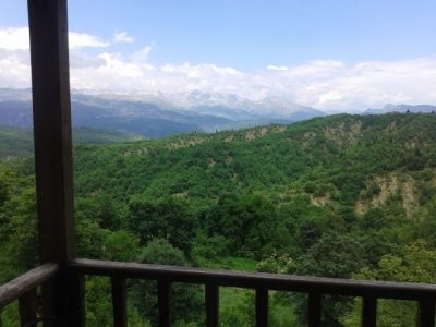 Ελάτη
