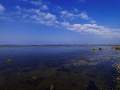 Swamp of Rodia